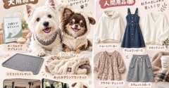 犬用品と、犬散歩用の人間服。楽天であれこれ物色中