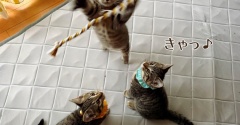 とても元気な下痢んちょ。