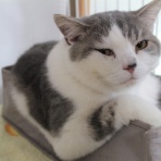 Worlds end ～セミリタイアな日々～