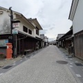 朝からお散歩