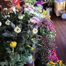 明日、18日(水)は、臨時営業❗️