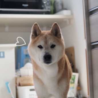 時が経つのは…
