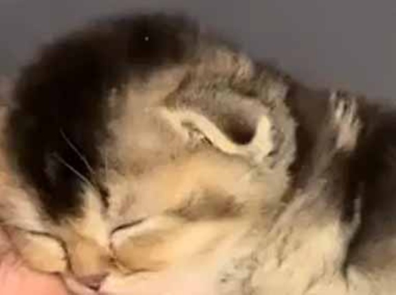 【これは仕方ない】 私が今日、遅刻した理由 → これです…