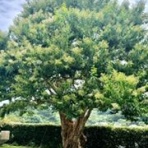 不登校365日24時間　フリースクール元気学園 ブログ