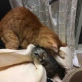 仲良し