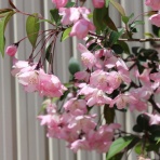 田所大介の富山なんでも食遊記