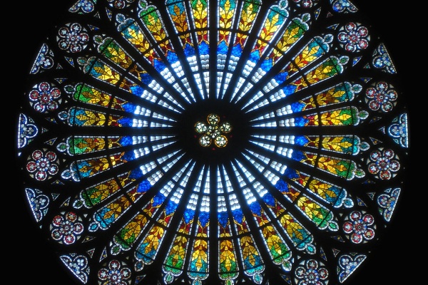 セリアが大好き ダイソー