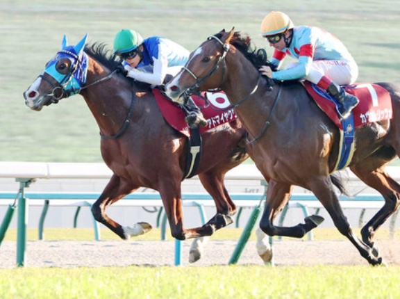 【デイリー杯2歳S】アドマイヤクワッズ強すぎワロタｗｗｗ