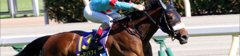 スタホ４　廃人への道 イメージ画像