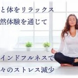 『ストレスを解消するリラックス法「マインドフルネス」って？』の画像