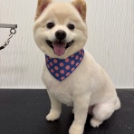 青森県　五所川原市　ワンラブ　エルムの街店　ブログ