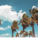 サンタアナの風とDAISO♪