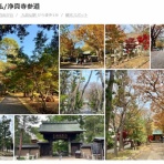 ちょっと幸せ、ずーっと幸せ