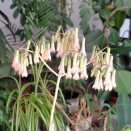 自転車に乗るのを、やめよかな？