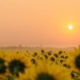 『父の術前検査』の画像