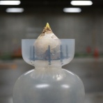 ◆ 園芸部日記 ◆