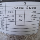 スジブトヒラタクワガタ