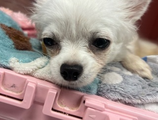 走太君食欲がなくて、、、