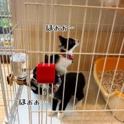 栄華、栄冠のお届けでした♪