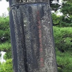 努力の上に花は咲くⅡ