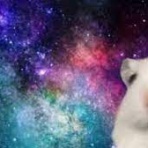 凹凸ちゃんねる　発達障害・生きにくい人のまとめ