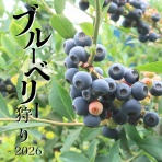 えりゐのＥｖｅＲｙ　ｄｉａＲｙ