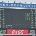 �ڴ��ﵭ26-11�۲��͡ʽ�辡��260724��