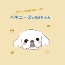 私が出会ったワンコ　ペキニーズのKMちゃん