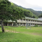 有機無農薬栽培茶　国友農園
