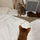 荒ぶるお姉ちゃんを呆然と見るわか坊