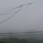 高台からの観天望気