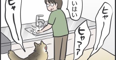 マロちゃんが母を呼びに来た理由