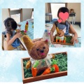 夏期講習作品紹介