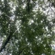 ワイ 通勤中に体調を崩し公園で休憩