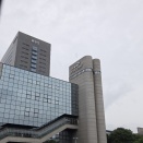 【WS】ベイブ/BCF2026京都に行く