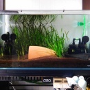 今朝は冷え込んでいます。