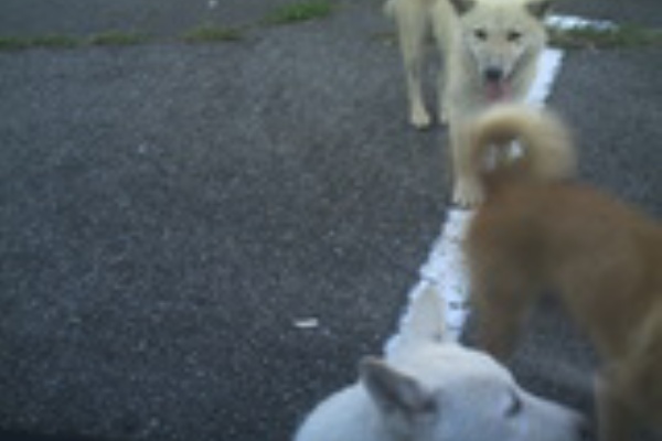 船員28号の日々 07年01月