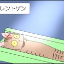 ニャンニャン健康診断③終