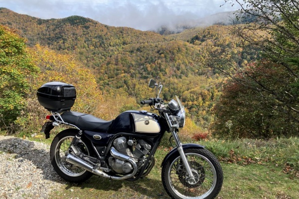 シャフトドライブ生活 - SRV250S