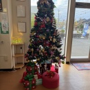 クリスマスツリーと一緒にパシャリ📸