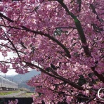 G鉄グラフィティ