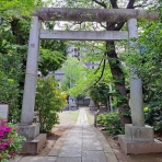 努力の上に花は咲くⅡ