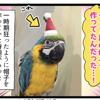 🧑‍🎄鳥さんの頭って、丸いので🐥