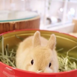 うのくらし