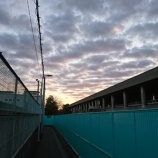 『1年で8000万円溶かした投資家』の画像