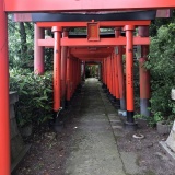 【画像】すんごい鳥居の神社にきたｗｗｗｗｗｗｗｗ