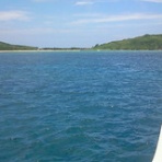 ダイバーになったら、世界の海が遊び場だぁ～！ダイビングライセンスを取得して海に潜ろう！【ダイバーになる.com】