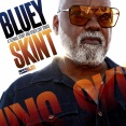 ■ SKINT - A Teenage Story And Other Love Songs ／ BLUEY