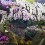 コンピテンシー宣教師日記