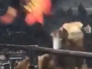 なぜ人はそこまでして牛に立ち向かうのか。人間を簡単に吹っ飛ばす闘牛のパワー。海外の反応